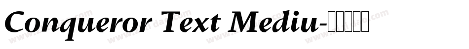 Conqueror Text Mediu字体转换
